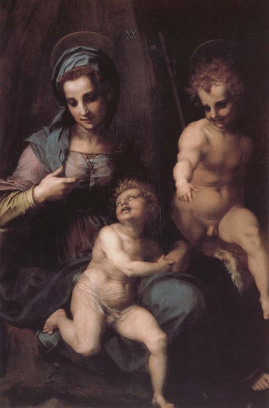 Andrea del Sarto Virgin Mary and Jeusu and John France oil painting art
